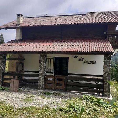 La Cabana Băile Borşa Exteriör bild