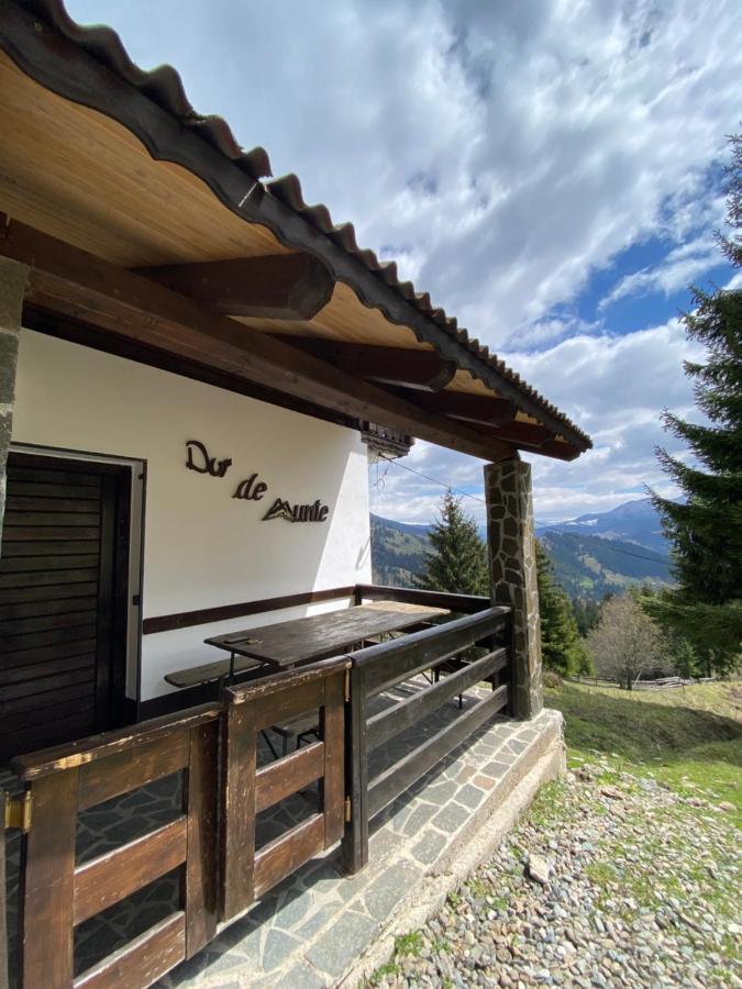 La Cabana Băile Borşa Exteriör bild