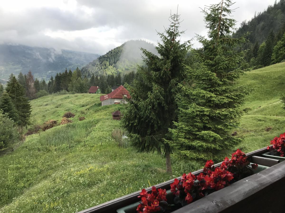 La Cabana Băile Borşa Exteriör bild