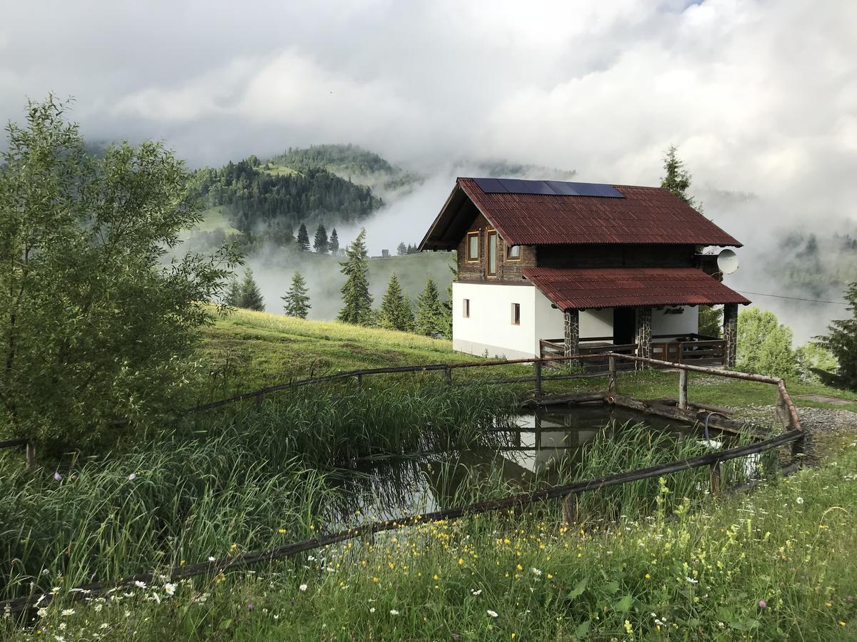 La Cabana Băile Borşa Exteriör bild